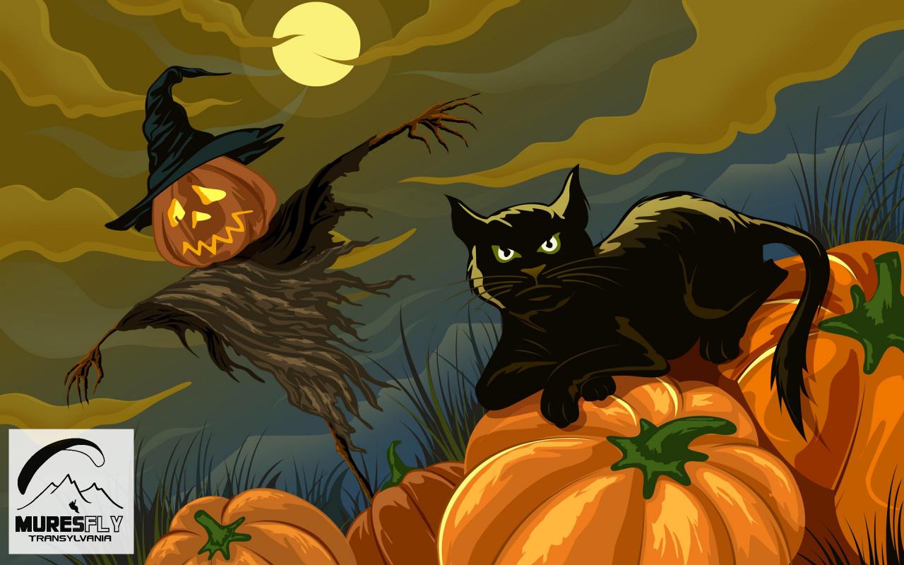 parapanta, tandem, pilot, zbor, Targu-Mures, Mures, scoala, Halloween, reduceri