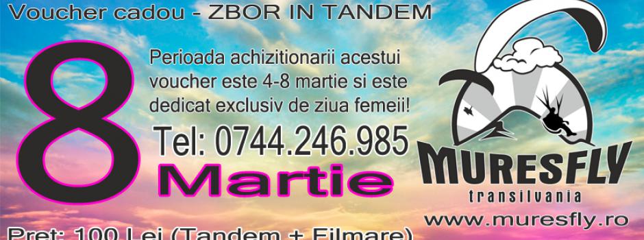Zbor cu parapanta cadou de 8 martie parapanta, tandem, pilot, zbor, Targu-Mures, Mures, scoala, cadou